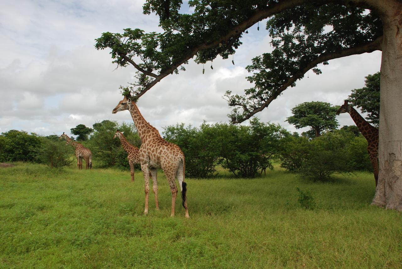 Safari Village Saly Exterior foto